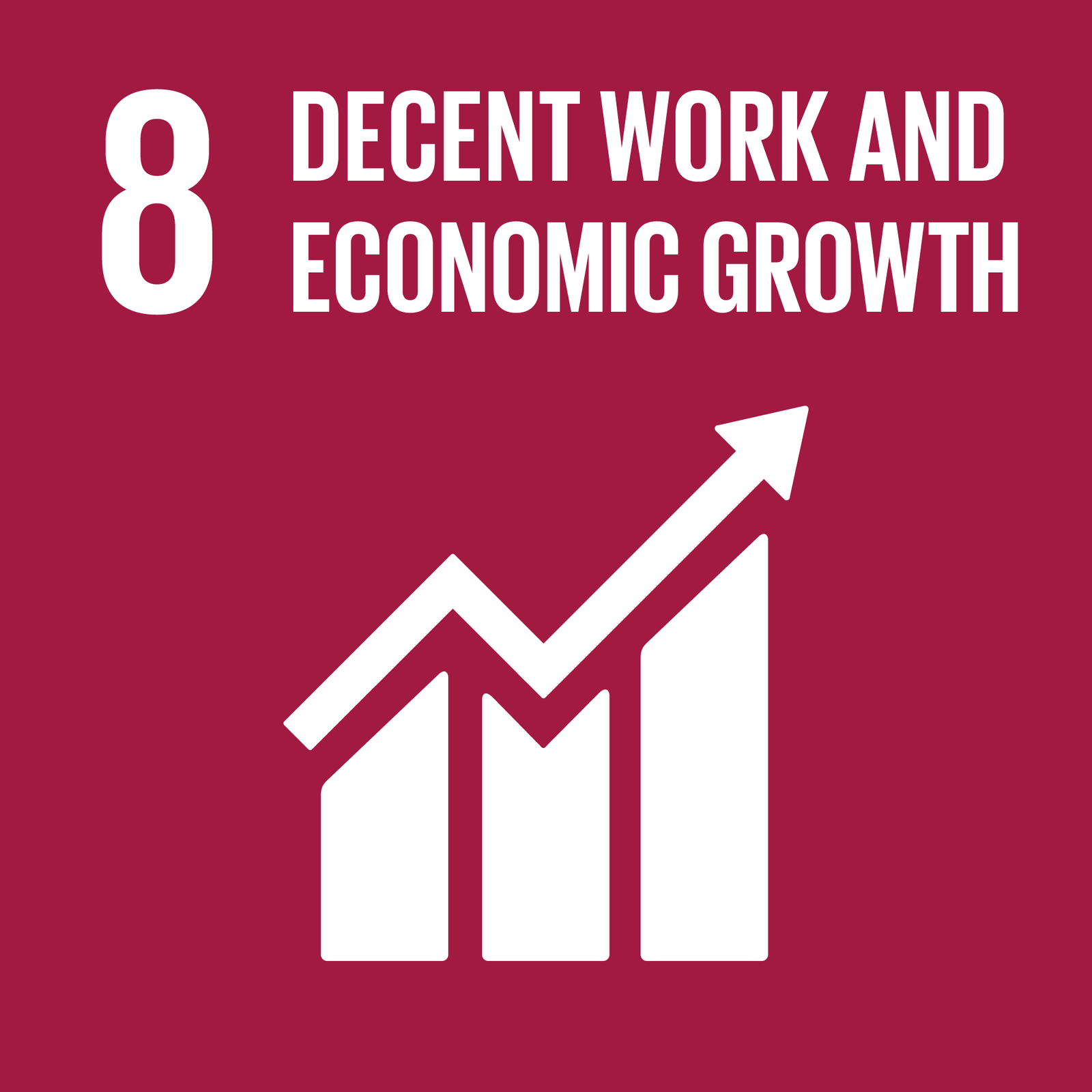 Mission, Vision and Values sdg 8