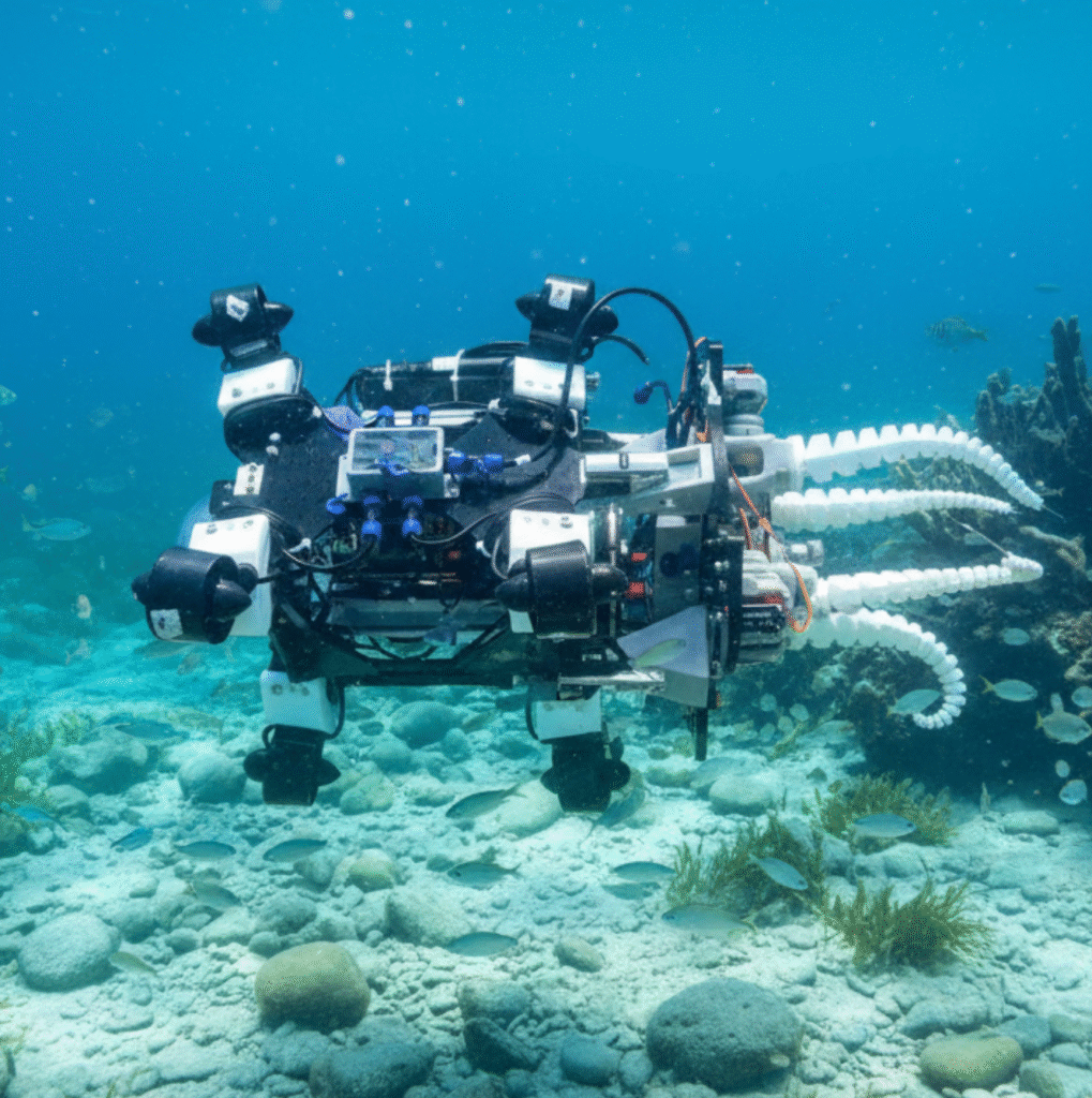 screenshot 2025 12 15 at 1.43.18 pm